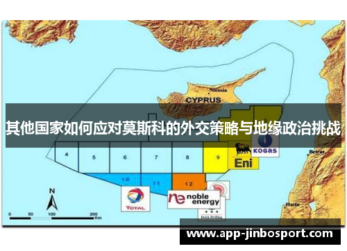 其他国家如何应对莫斯科的外交策略与地缘政治挑战